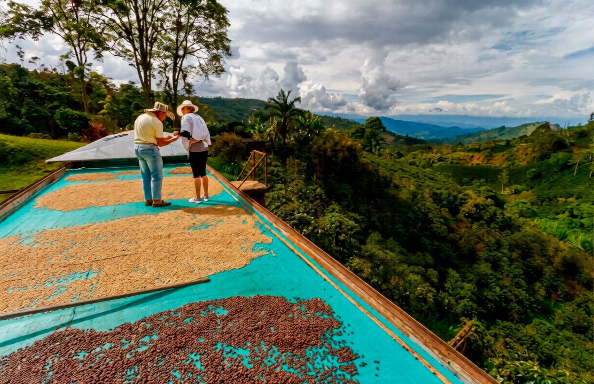 A Journey Through Colombia’s Coffee Region